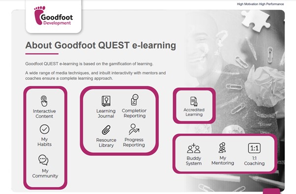 quest 2